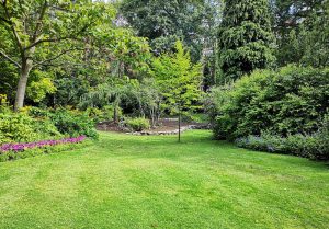 Optimiser l'expérience du jardin à Chalette-sur-Loing